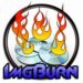 【Imgburn】光学メディアへの書き込みと設定