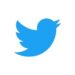 【Twitter】「ツイートをさらに表示」というタイトル画面を非表示にする